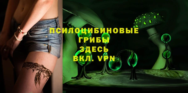 mdpv Елизово