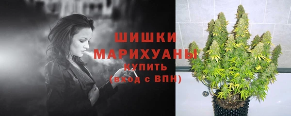 PSILOCYBIN Елабуга