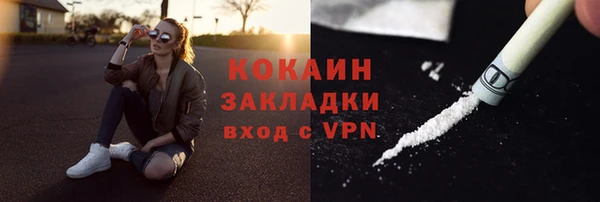 mdpv Елизово