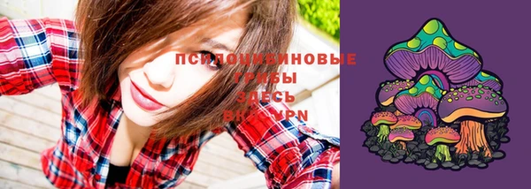mdpv Елизово