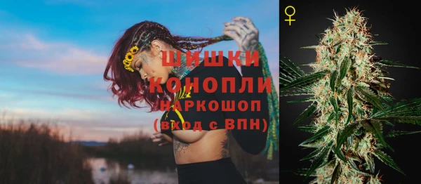 марки nbome Ельня