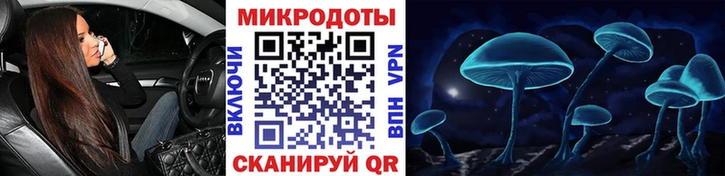 Купить  Шумиха  Псилоцибиновые грибы ЛСД 